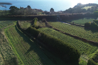 achat terrain roscoff 29680
