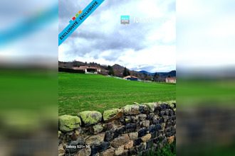 achat terrain rosieres 43800