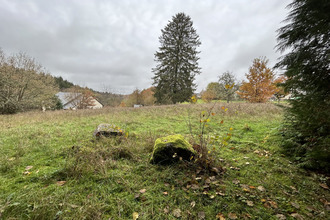 achat terrain rosiers-d-egletons 19300