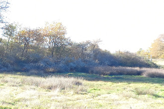 achat terrain rosnay 36300