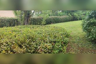 achat terrain rosoy 89100