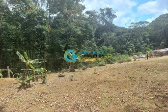 achat terrain roura 97311