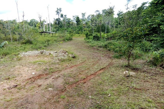 achat terrain roura 97311