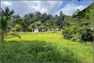 achat terrain roura 97311