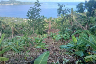 achat terrain sada 97640