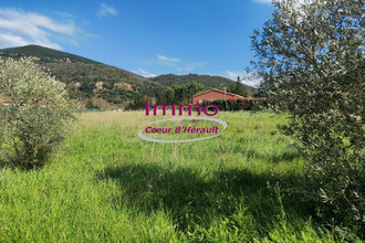 achat terrain salasc 34800