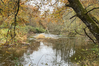 achat terrain salbris 41300