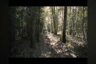 achat terrain salbris 41300