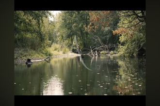 achat terrain salbris 41300