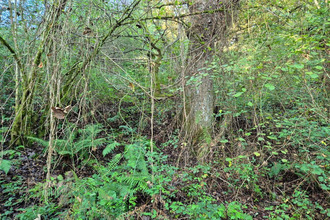 achat terrain salies-de-bearn 64270