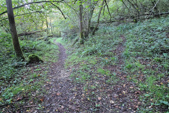 achat terrain salies-de-bearn 64270