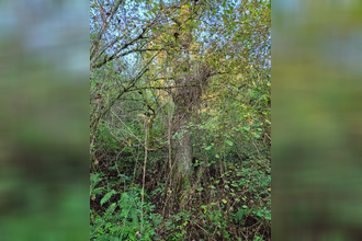 achat terrain salies-de-bearn 64270