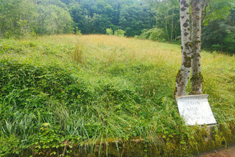 achat terrain salins-les-bains 39110