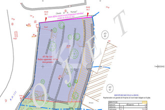 achat terrain san-martino-di-lota 20200