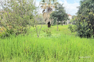 achat terrain san-nicolao 20230
