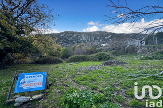 achat terrain santo-pietro-di-tenda 20246