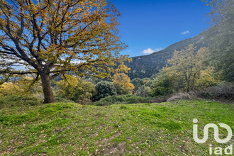 achat terrain santo-pietro-di-tenda 20246