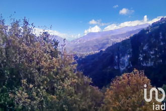 achat terrain santo-pietro-di-tenda 20246