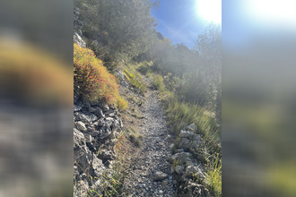 achat terrain saorge 06540