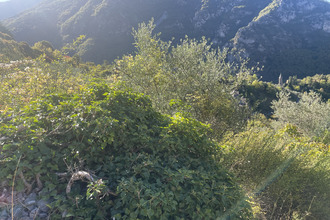 achat terrain saorge 06540