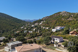 achat terrain sari-solenzara 20144