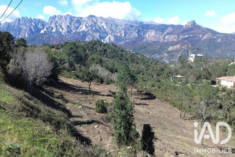 achat terrain sari-solenzara 20145