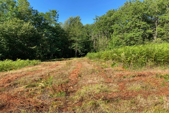 achat terrain sarlat-la-caneda 24200