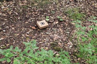 achat terrain sartene 20100