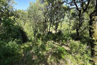 achat terrain sartene 20100