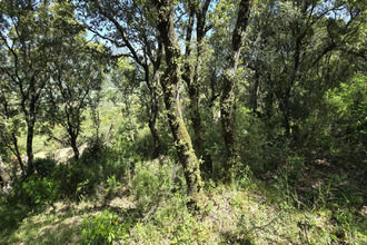 achat terrain sartene 20100