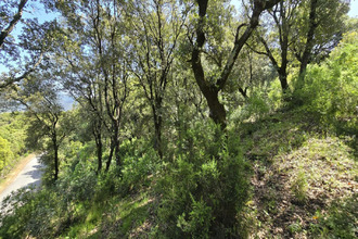achat terrain sartene 20100