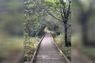 achat terrain sarzeau 56370