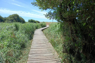 achat terrain sarzeau 56370