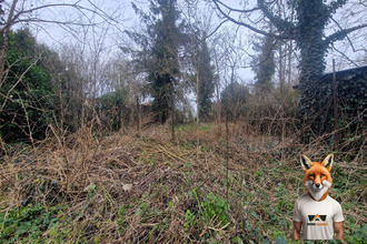 achat terrain savieres 10600