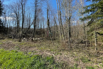 achat terrain schirmeck 67130