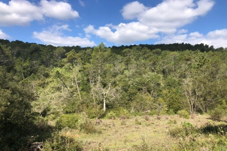 achat terrain seillans 83440