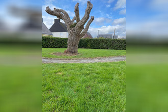 achat terrain sene 56860