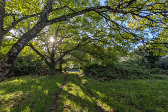 achat terrain sepvret 79120