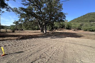 achat terrain serra-di-fiumorbo 20243