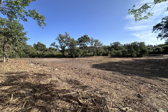 achat terrain serra-di-fiumorbo 20243