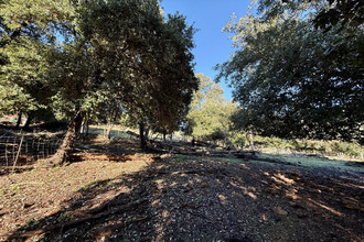 achat terrain serriera 20147