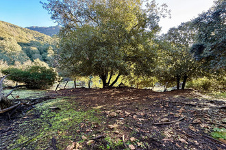 achat terrain serriera 20147