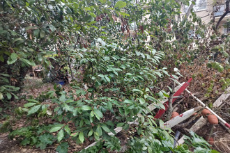 achat terrain sete 34200