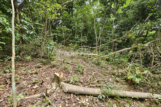 achat terrain shoelcher 97233