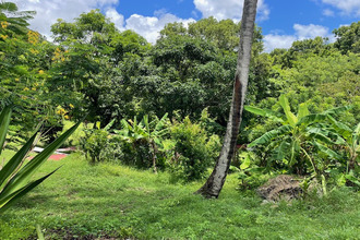 achat terrain shoelcher 97233