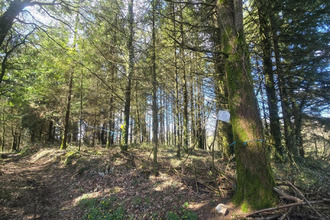 achat terrain silfiac 56480