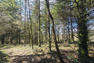 achat terrain silfiac 56480