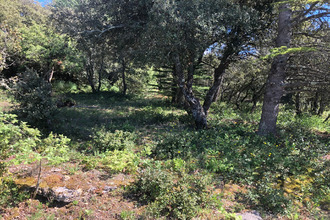 achat terrain simiane-la-rotonde 04150