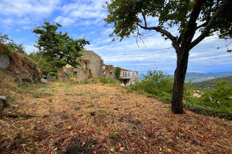 achat terrain sollacaro 20140