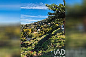 achat terrain sollacaro 20140